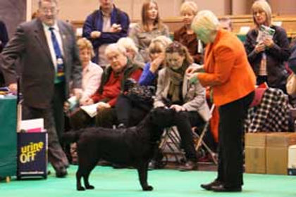 lorraine_billy_crufts_2.jpg