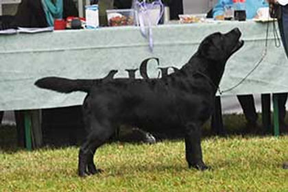 DSC_0107.jpg