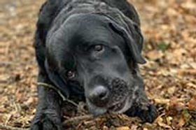 billy_nearly10.jpg