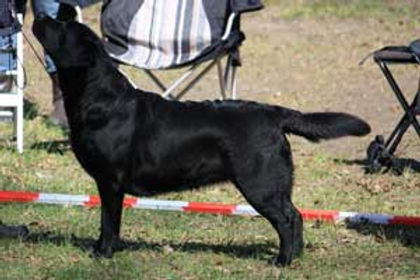 billy_neustADT_2012.jpg