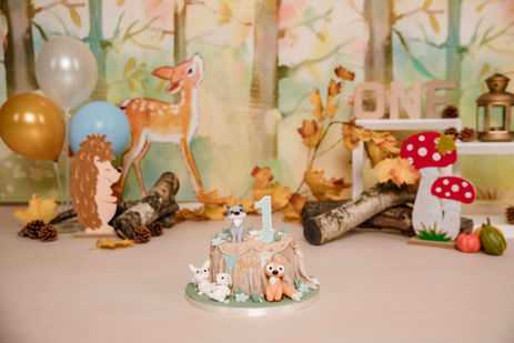 Cakesmash fotograaf fotostudio Winterswijk Aalten Lichtenvoorde Groenlo Bredevoort Doetinchem Eibergen Haaksbergen Achterhoek Heel Nederland