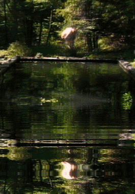 gif de swimming pool de bill viola, on voit une piscine en pleine nature avec une silhouette flottant au dessus du bassin