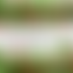 Holiday Open House at the Poquoson Museum