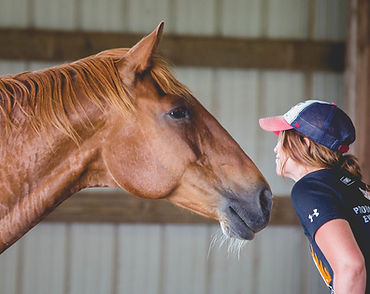 Discover the transformative power of Eagala Equine Assisted Psychotherapy—an innovative, evidence-based approach supporting veterans on their journey to improved mental health and wellbeing.

Unlike traditional talk therapies, this model partners clients with horses in a safe, non-judgemental setting, allowing you to explore challenges, build resilience, and develop practical coping strategies through hands-on experiences. Many veterans find that working with horses helps them reconnect, gain confidence, and process trauma in ways that feel natural and empowering. 

We invite you to attend a free Eagala experience, designed specifically for veterans. Come along and see how this unique approach can support you in taking the next step towards healing and growth.  No horse experience is needed - just bring an open mind and a willingness to discover something new.

Benefits:

•  Fosters emotional healing and resilience. 
•  Provides a safe, non judgmental environment. 
•  Helps veterans reconnect and build confidence. 
•  Develops practical coping skills. 
•  Makes trauma processing feel natural. 
•  No horse experience