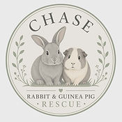 ChaseBunnyRescueLogo.png