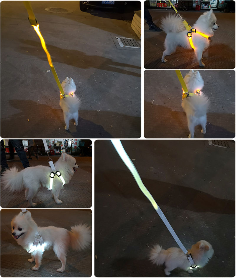 Thumbnail: BreezeBox Radiant LED Harness: Light the Way, Lead the Walk.