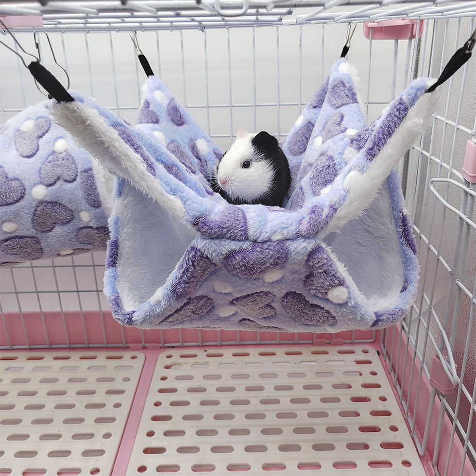Thumbnail: Double-Layer Winter Hammock for Small Pets