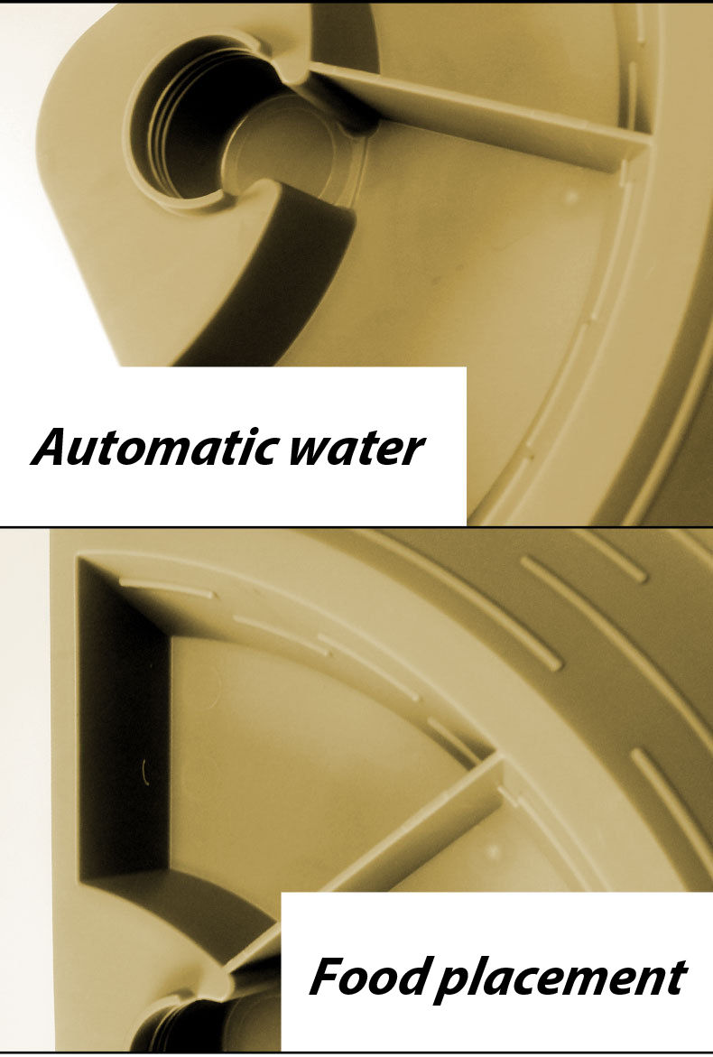 Thumbnail: The Oasis Corner: Automatic 2-in-1 Reptile Water & Feeding Station