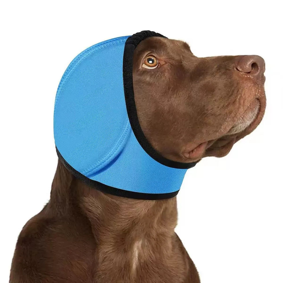 Thumbnail: Dog Head Cover
