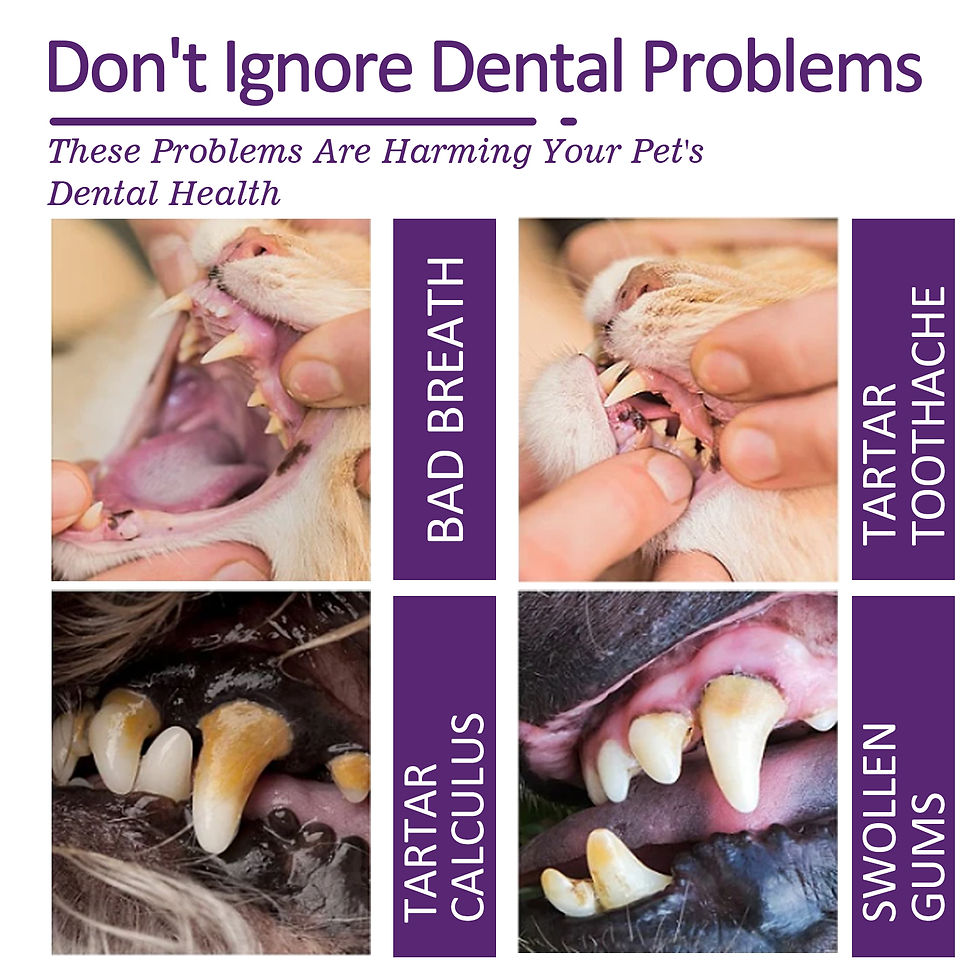 Thumbnail: PawSmile Pet Toothpaste