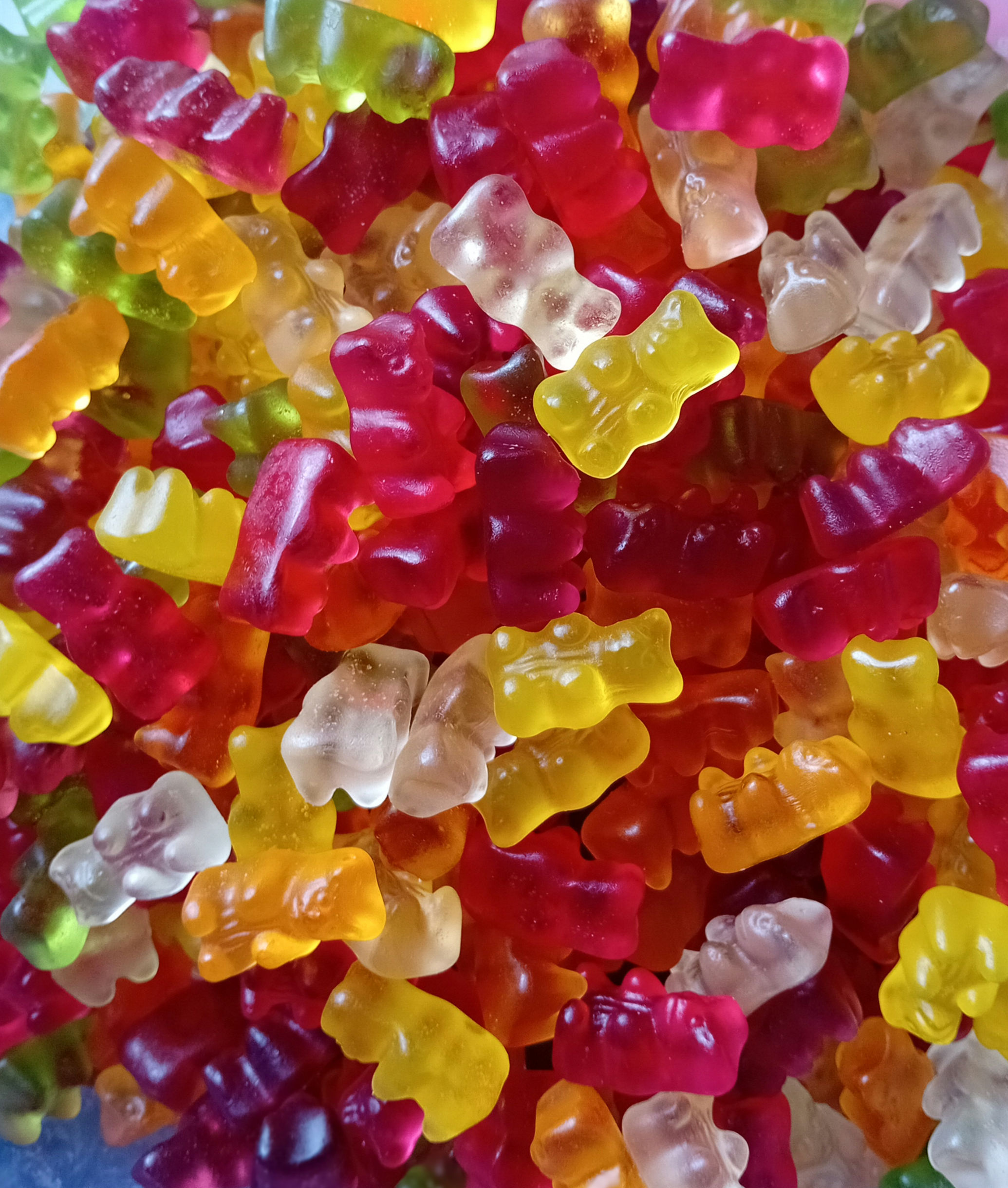 Mini ours SANS SUCRE