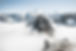 Montagnes dans le brouillard