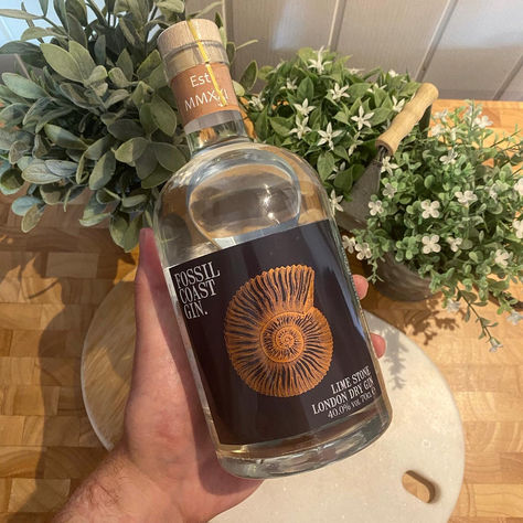 Why we built Fossil Coast Gin