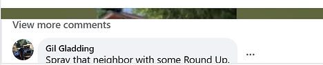 Tiffany Berg defames me on TikTok. Here is a comment from someone who never met me - just believe Tiffany's lies about me.