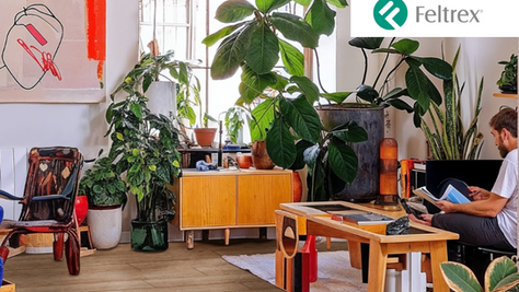 Kiwi: El Piso Ecológico, Resistente y 100% Impermeable
