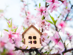 The 4-Hour Rule: Why Fast Response Time Is the New Standard in This Spring Market