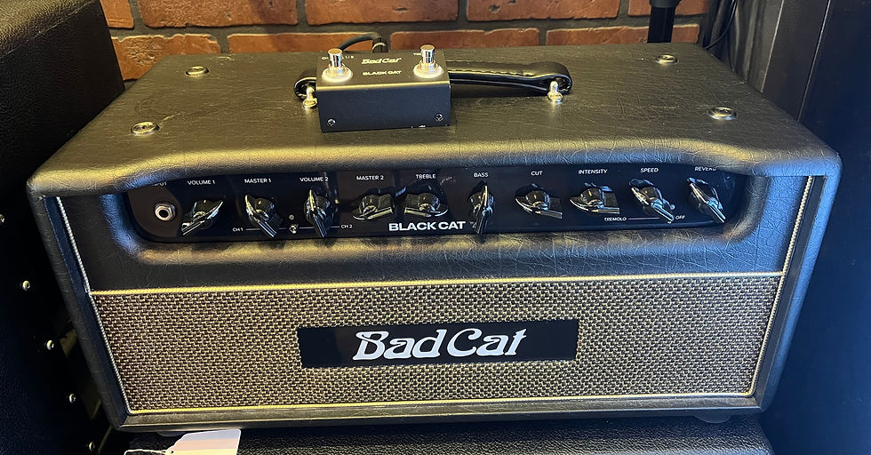BadCat Black Cat 20