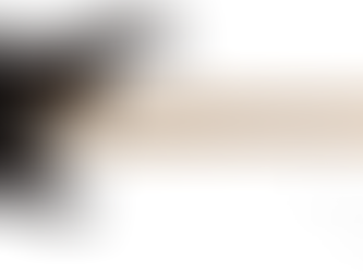 Westcoast Guitars Caparison Guitars Dealer Canada