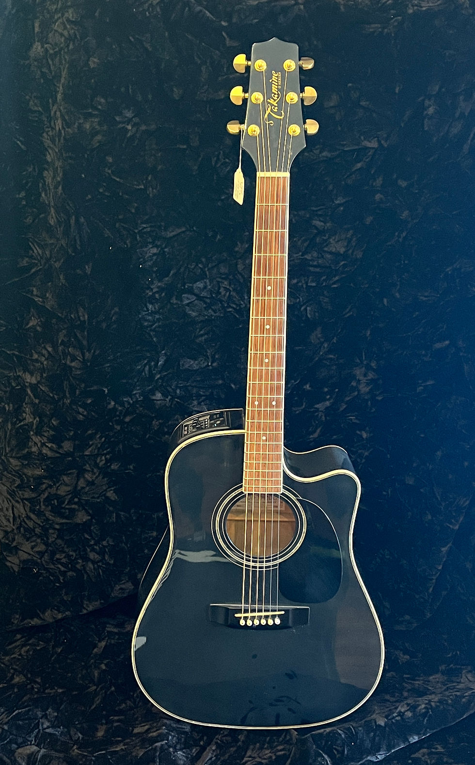 Takamine Ac/EL Damage on Back