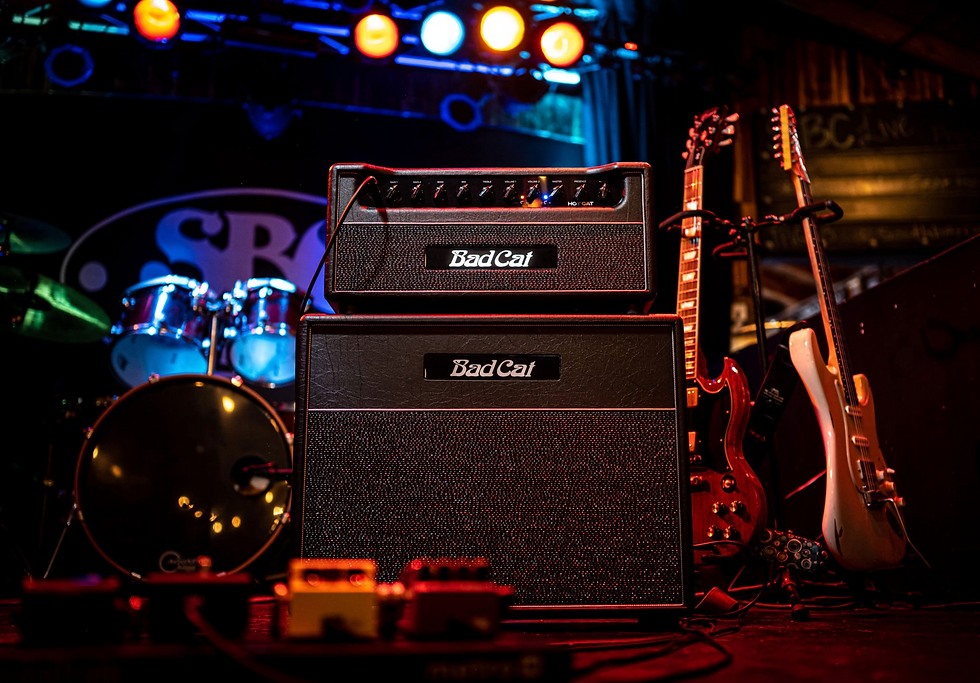 BAD CAT HOT CAT Amplifier Dealer Canada