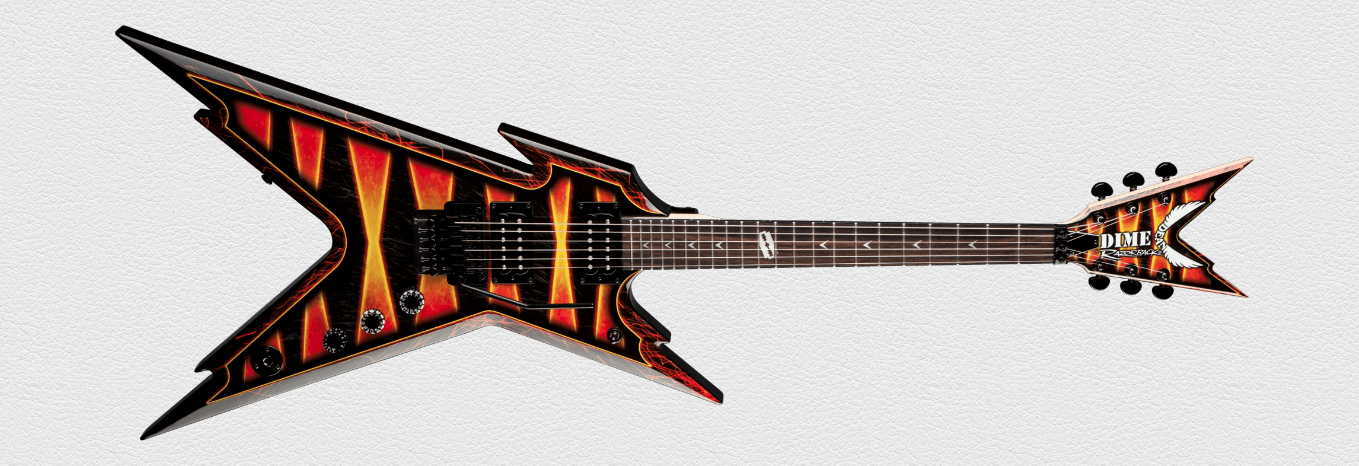 RAZORBACK DIMEBAG FLOYD BUMBLEBEE FIREFLY W_CASE