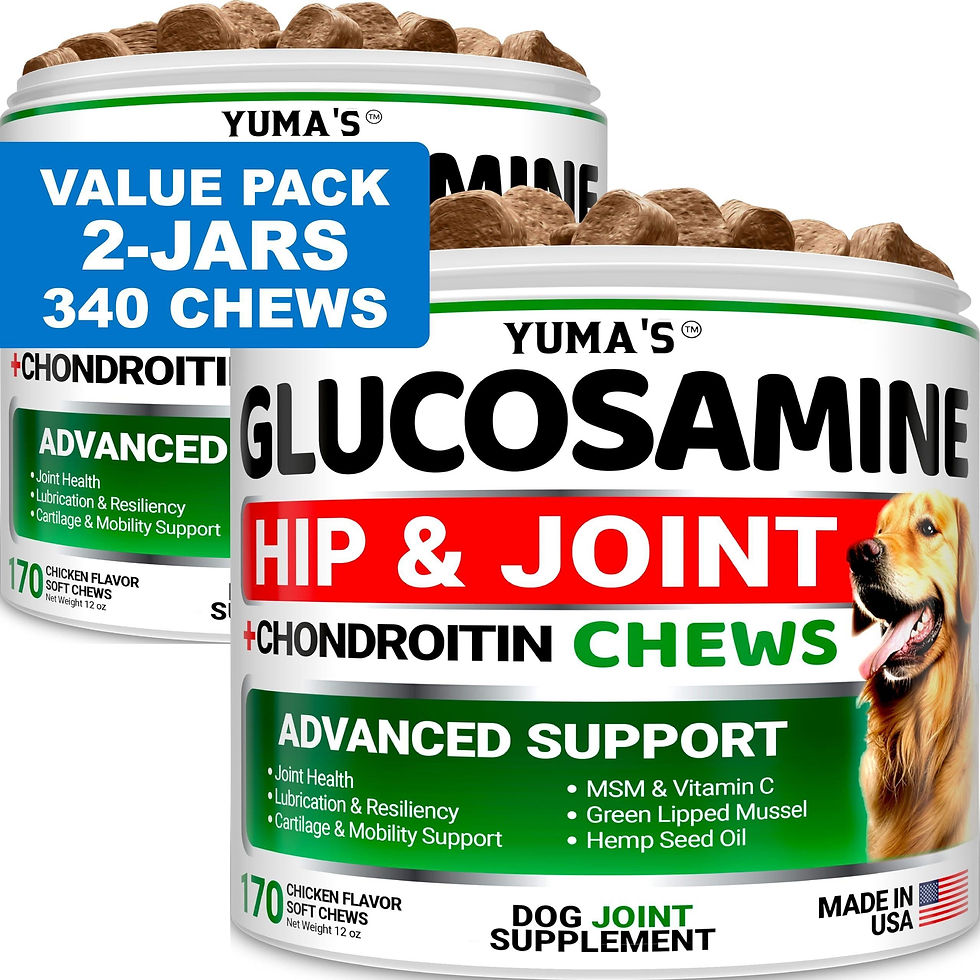 Thumbnail: 2 Pack Glucosamine for Dogs with Chondroitin Joint Pain Relief Made in USA