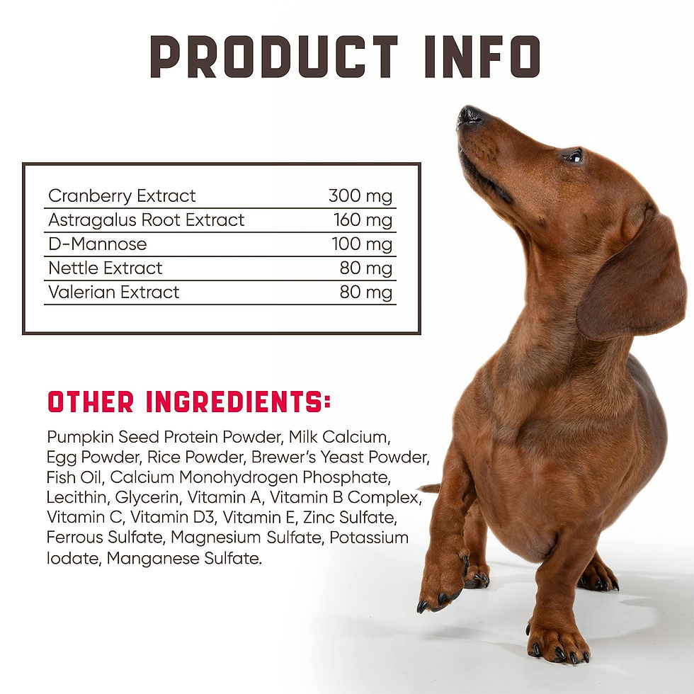 Thumbnail: 180 Pcs Cranberry Chews Dog Cranberry Supplement Natural Aid for Urinary Tract