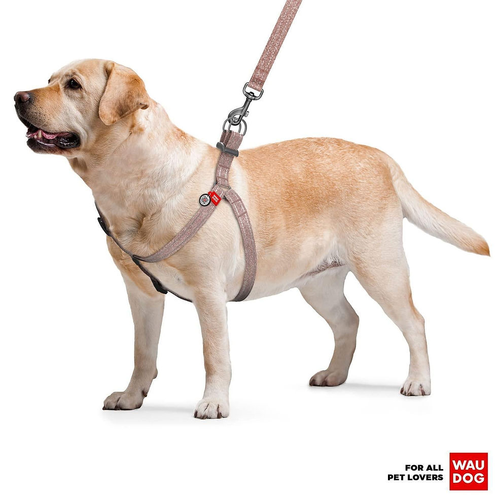 Thumbnail: Brown Cotton Dog Harness Eco Friendly Adjustable for Large Dogs L Size 2735 in