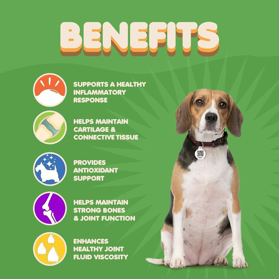 Thumbnail: Dog Hip and Joint Supplement with Glucosamine Turmeric for Dogs Chondroitin MSM