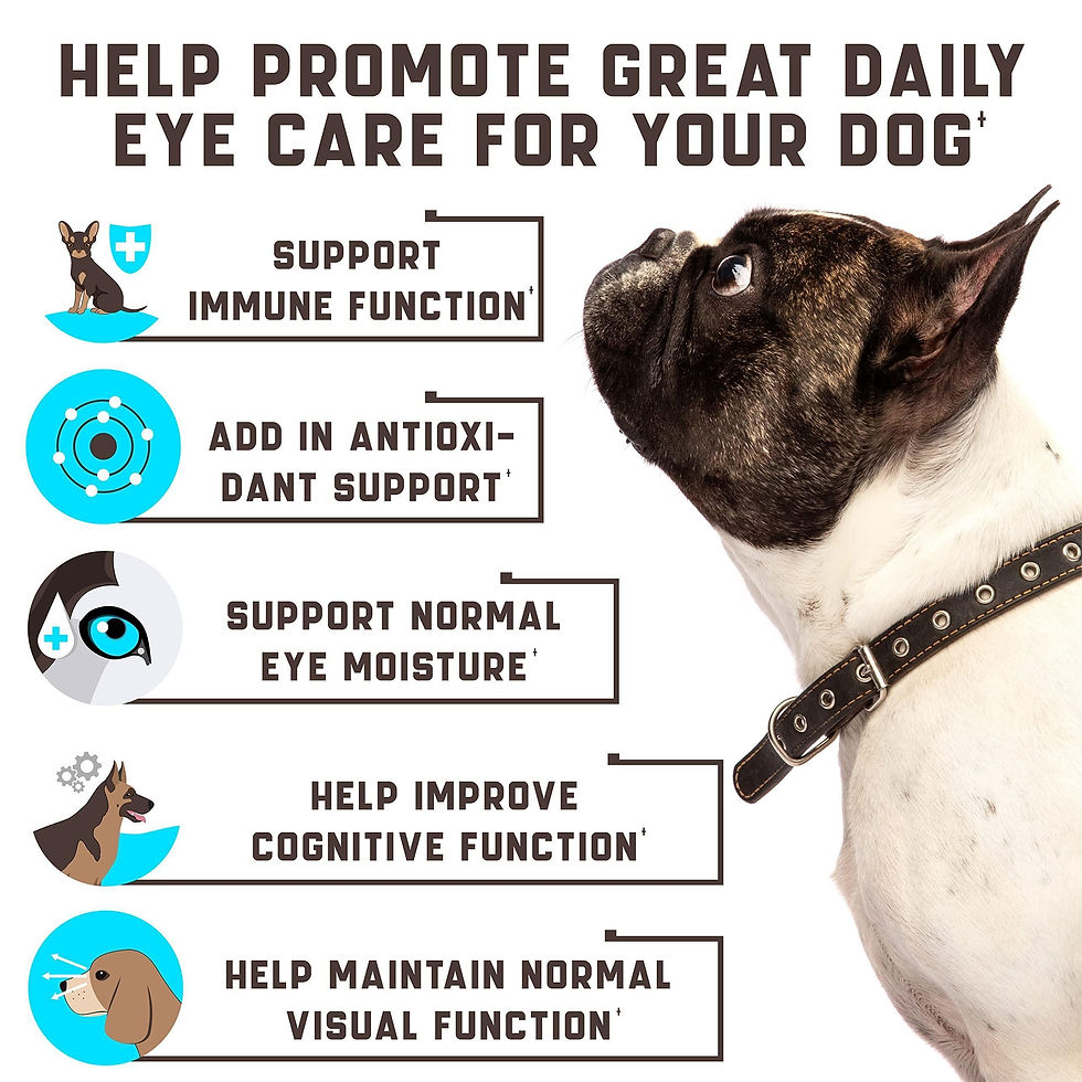 Thumbnail: Eye Vitamins for Dogs Vision Supplement for Tear Stains Dog Eye Care Duck Flavor