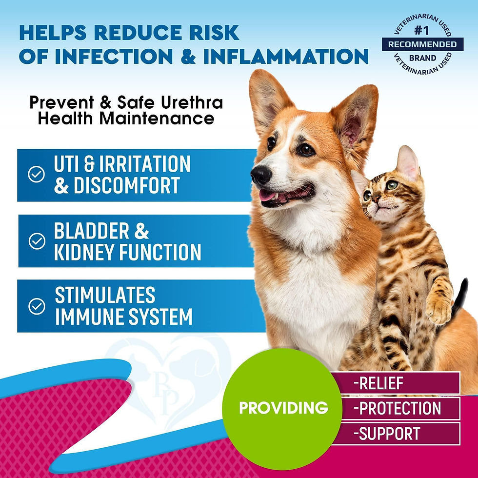 Thumbnail: Cat Dog Urinary Tract Infection Treatment Natural UTI Care Drops with Cranberry