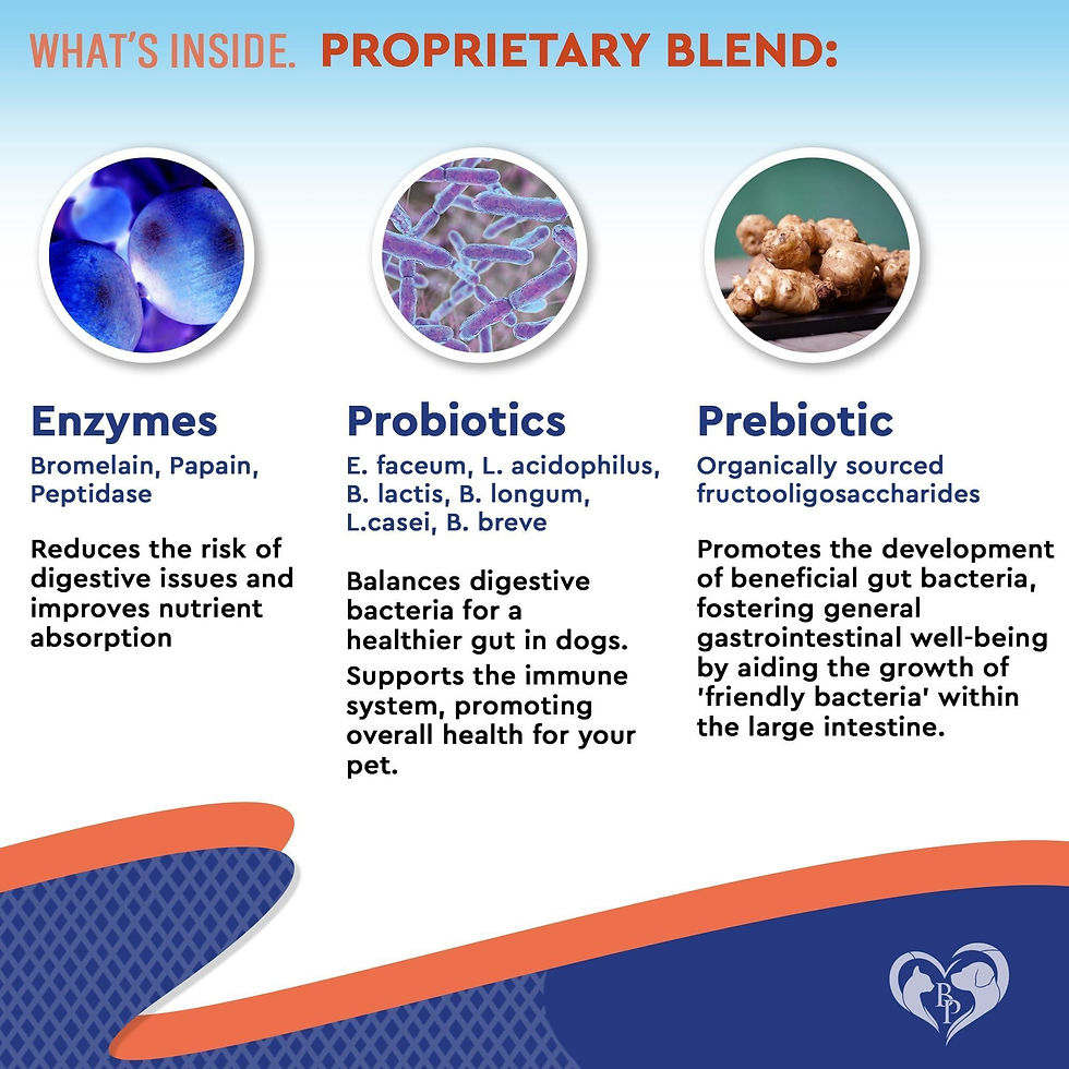 Thumbnail: Probiotics Prebiotics with Enzymes for Dogs and Cats Digestive Gut Flora Health