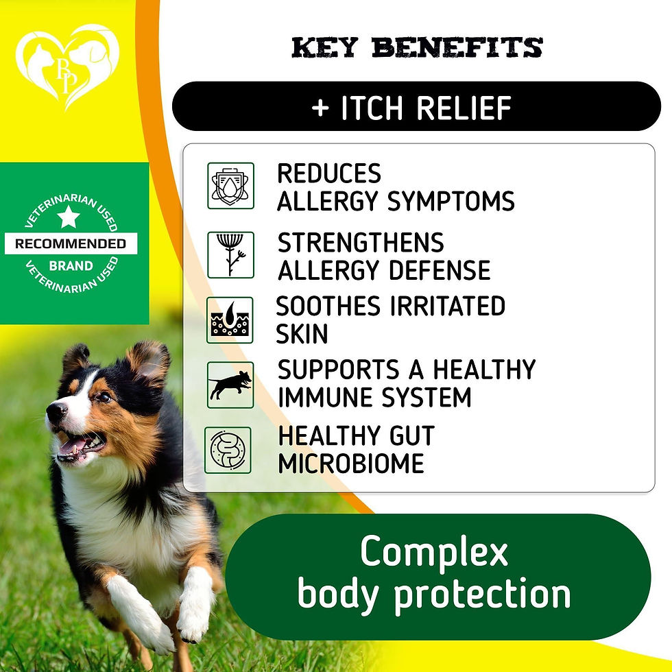 Thumbnail: Dog Anti Itch Allergy Relief Chews Dry Itchy Skin Hot Spot Treatment with Omega3
