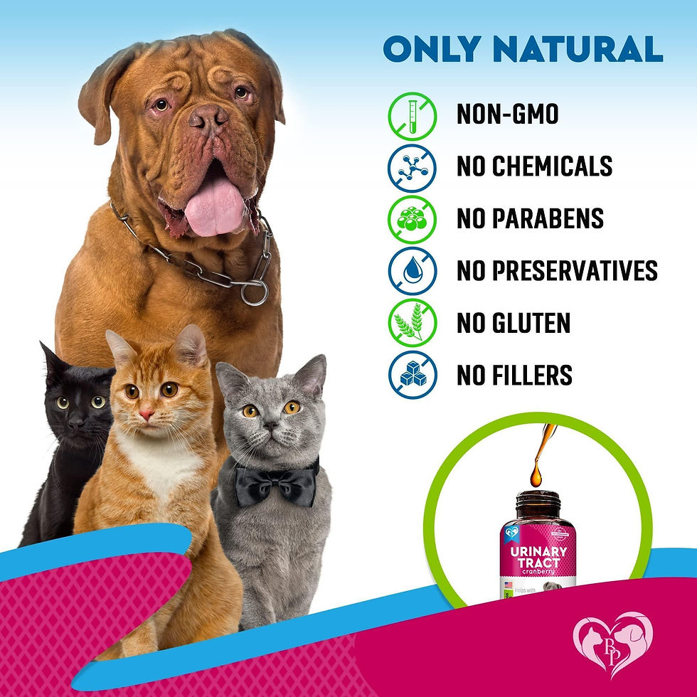 Thumbnail: Cat Dog Urinary Tract Infection Treatment Natural UTI Care Drops with Cranberry
