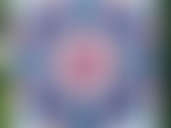 The Second Life of Denim