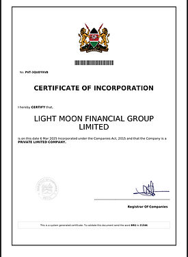 LIGHT MOON FINANCIAL GROUP LTD (Kenya).jpeg