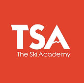 TSA logo.jpg
