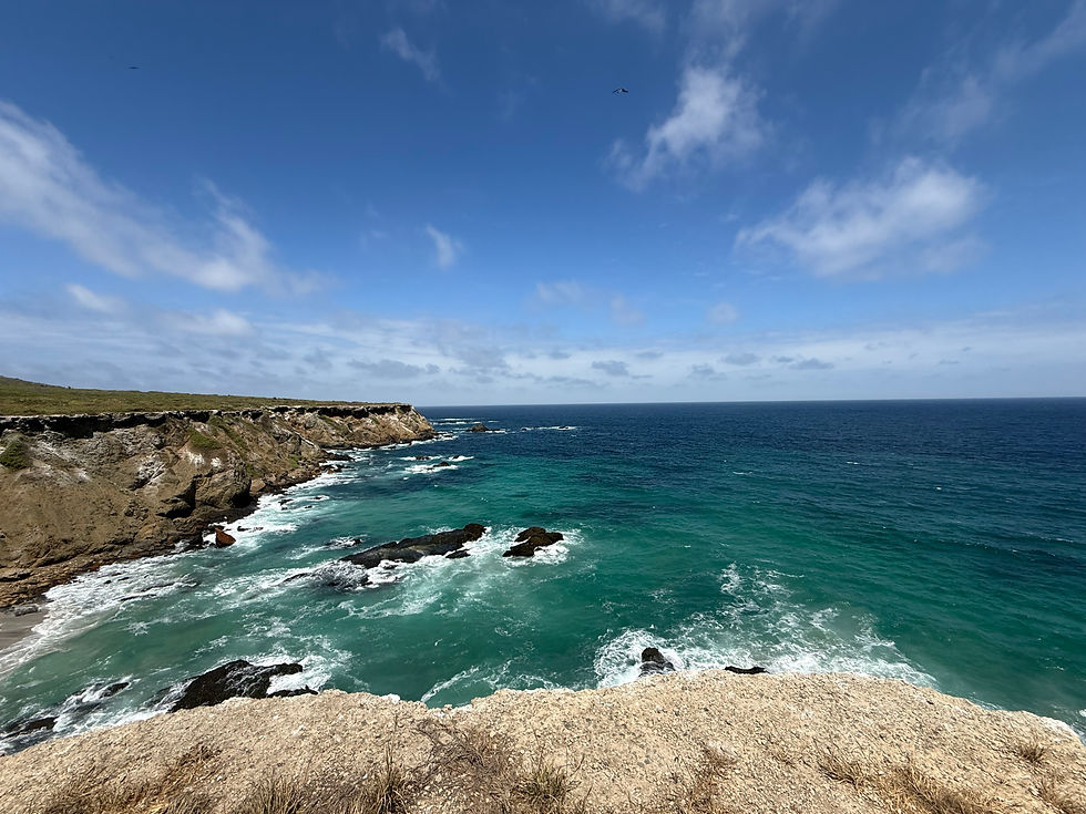 Wild Within: The Ecuador Retreat