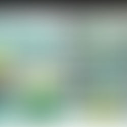 Illustration Credit: Cassandra Harrison