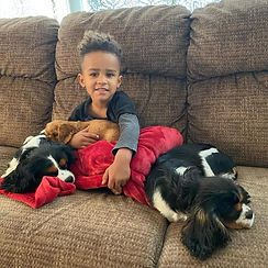 grandson enjoying puppies