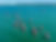 240305_SE_iQfoilGamesCDZ_15178_0161.jpg