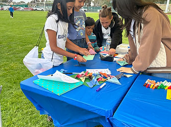 stemtheart14