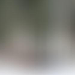 2022冬キャンプ予約解禁について