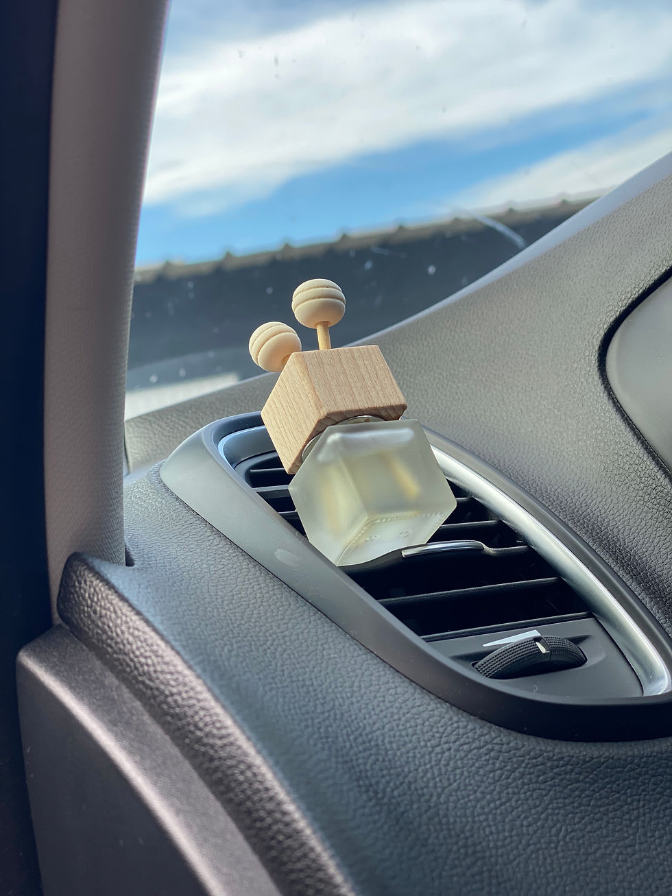 Miniature : RECHARGE pour Diffuseur voiture