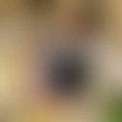 Bougies citron et tomate : déjà best seller sur les marchés