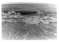 The Water Got On My Camera