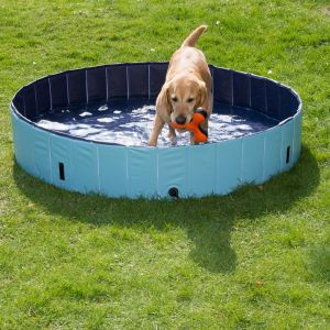 Miniatura: PISCINA