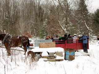 Christmas on the Cook Family Farm