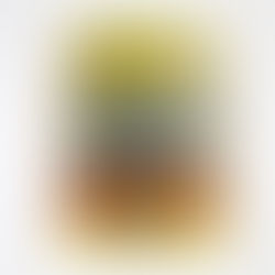 Všelijaká zvířata pro kluky a děvčata