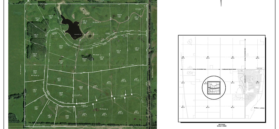 full color full subdivision.jpg